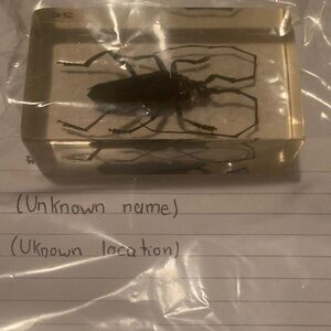 Bug 🐞 - unknown name and unknown location